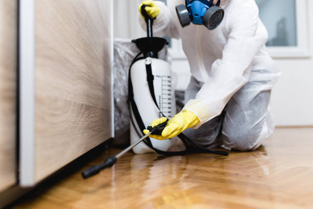 Best Flea Control Services  in Cayuga Heights, NY