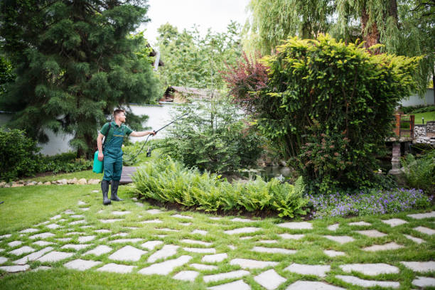Best Wasp Removal Services  in Cayuga Heights, NY
