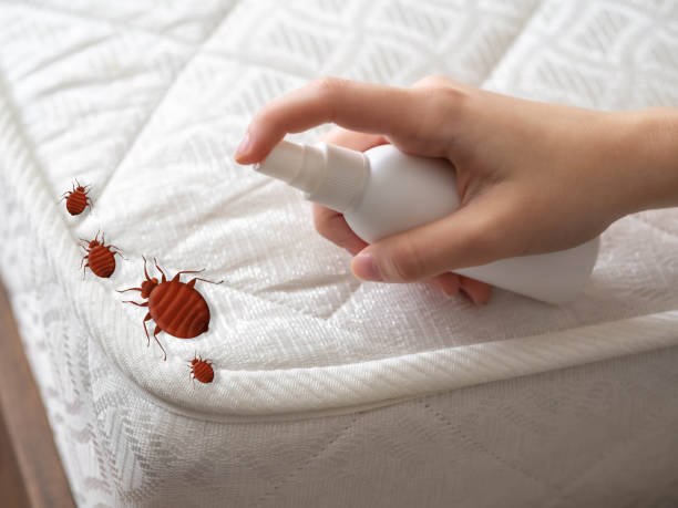 Best Local Pest Control Services  in Cayuga Heights, NY