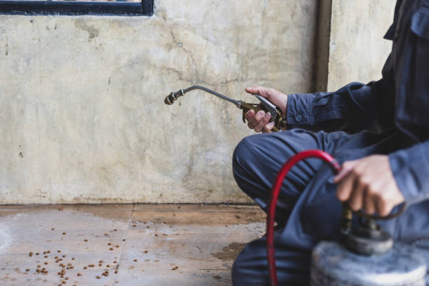 Best Affordable Pest Control Services  in Cayuga Heights, NY